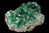 Fluorite Crystal Cluster with Galena- Rogerley Mine #134788-1